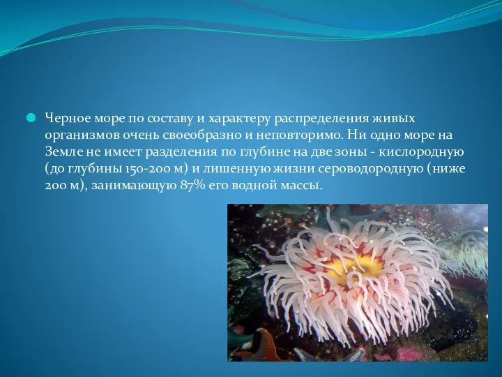 Черное море по составу и характеру распределения живых организмов очень своеобразно