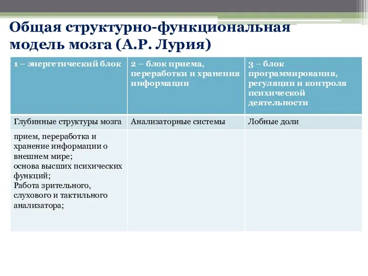 Общая структурно-функциональная модель мозга (А.Р. Лурия)