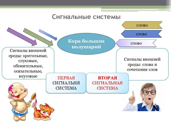 Сигналы внешней среды: слова и сочетания слов Сигналы внешней среды: зрительные,