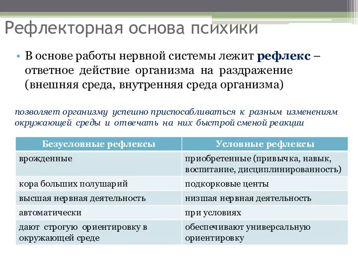 Рефлекторная основа психики В основе работы нервной системы лежит рефлекс –