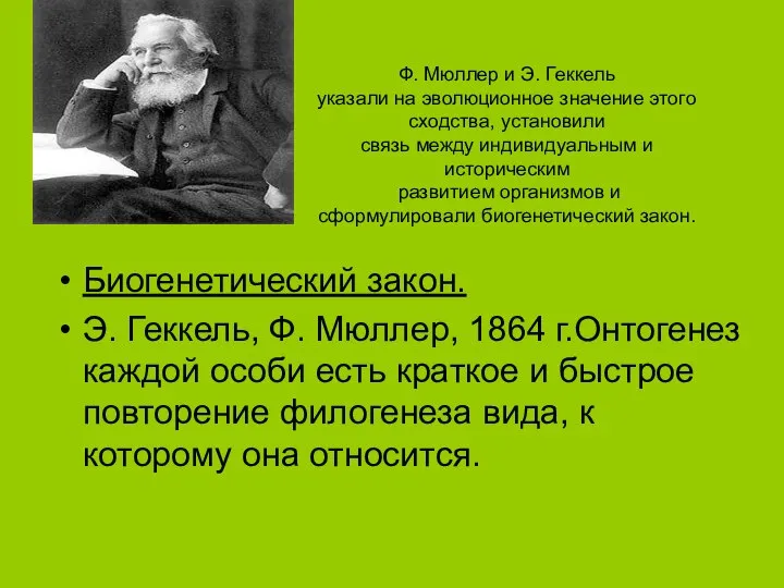 Биогенетический закон. Э. Геккель, Ф. Мюллер, 1864 г.Онтогенез каждой особи есть