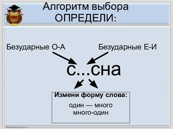 Алгоритм выбора ОПРЕДЕЛИ: с...сна Измени форму слова: один — много много-один Безударные О-А Безударные Е-И