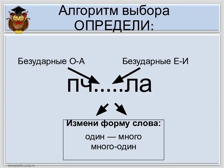 Алгоритм выбора ОПРЕДЕЛИ: пч.....ла Измени форму слова: один — много много-один Безударные О-А Безударные Е-И