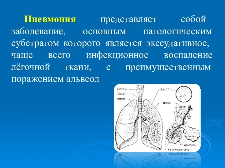 Пневмония представляет собой заболевание, основным патологическим субстратом которого является экссудативное, чаще