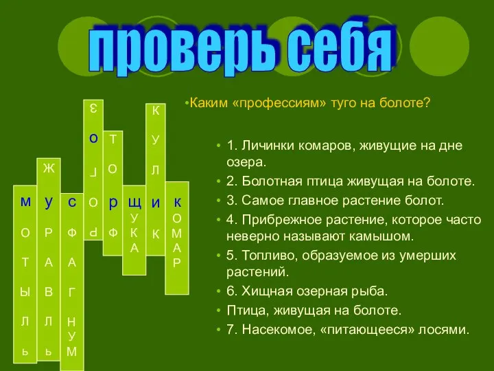 1. Личинки комаров, живущие на дне озера. 2. Болотная птица живущая