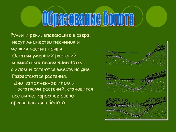 Ручьи и реки, впадающие в озера, несут множество песчинок и мелких