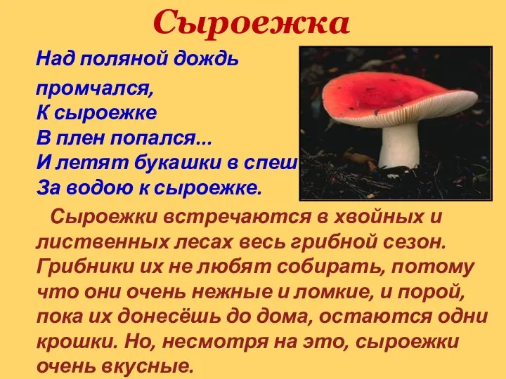 Сыроежка Над поляной дождь промчался, К сыроежке В плен попался... И