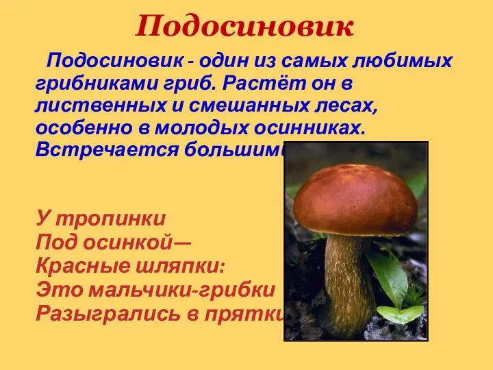 Подосиновик Подосиновик - один из самых любимых грибниками гриб. Растёт он