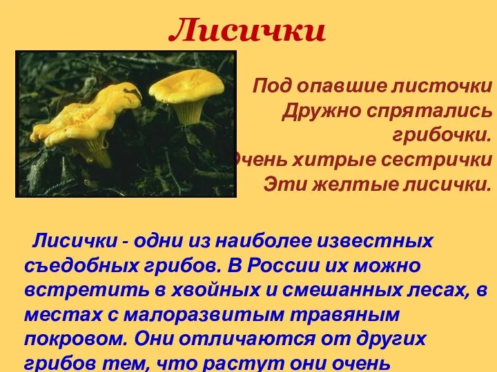 Лисички Под опавшие листочки Дружно спрятались грибочки. Очень хитрые сестрички Эти