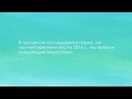 В процессе исследования парка, на момент времени весна 2016 г., мы выявили следующие недостатки: