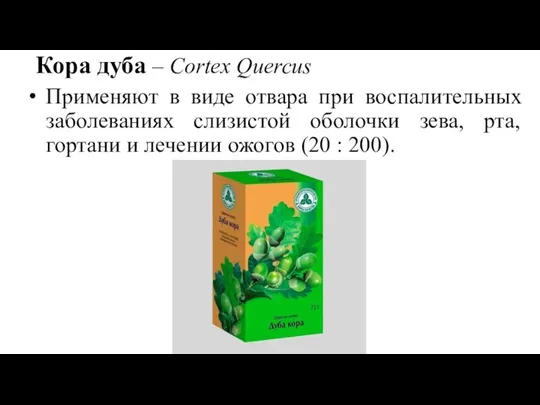 Кора дуба – Cortex Quercus Применяют в виде отвара при воспалительных