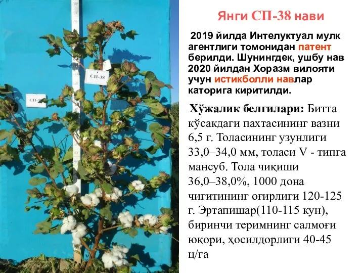 Янги СП-38 нави 2019 йилда Интелуктуал мулк агентлиги томонидан патент берилди.