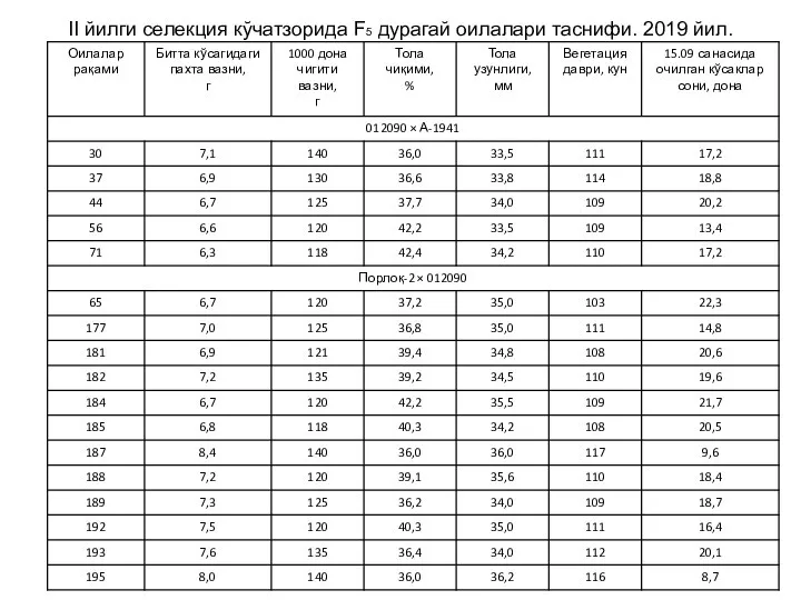 II йилги селекция кўчатзорида F5 дурагай оилалари таснифи. 2019 йил.