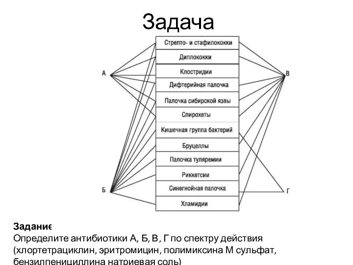 Задача Задание Определите антибиотики А, Б, В, Г по спектру действия