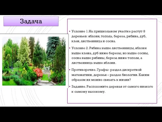 Условие 1.На пришкольном участке растут 8 деревьев: яблоня, тополь, береза, рябина,