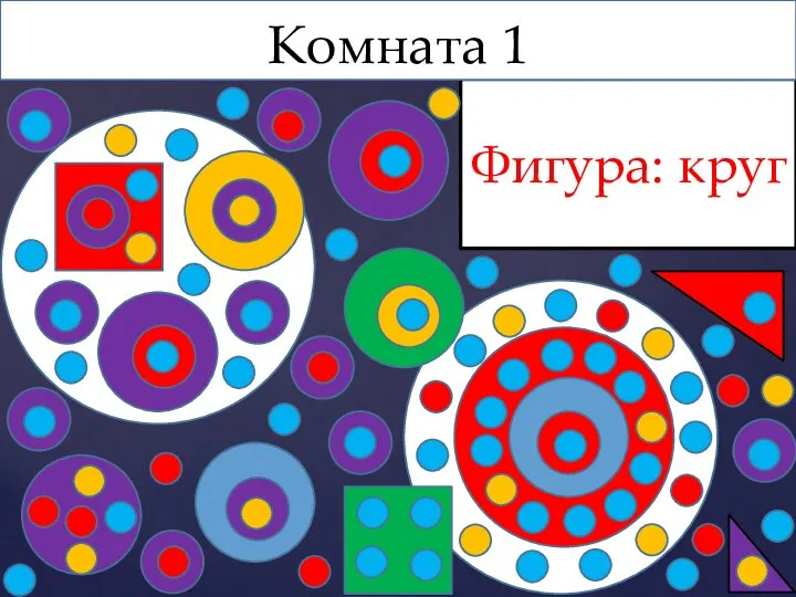 Фигура: круг Комната 1