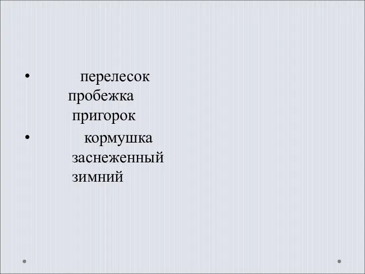 перелесок пробежка пригорок кормушка заснеженный зимний