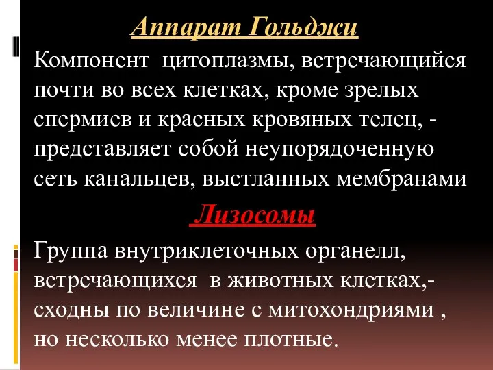 Аппарат Гольджи Компонент цитоплазмы, встречающийся почти во всех клетках, кроме зрелых