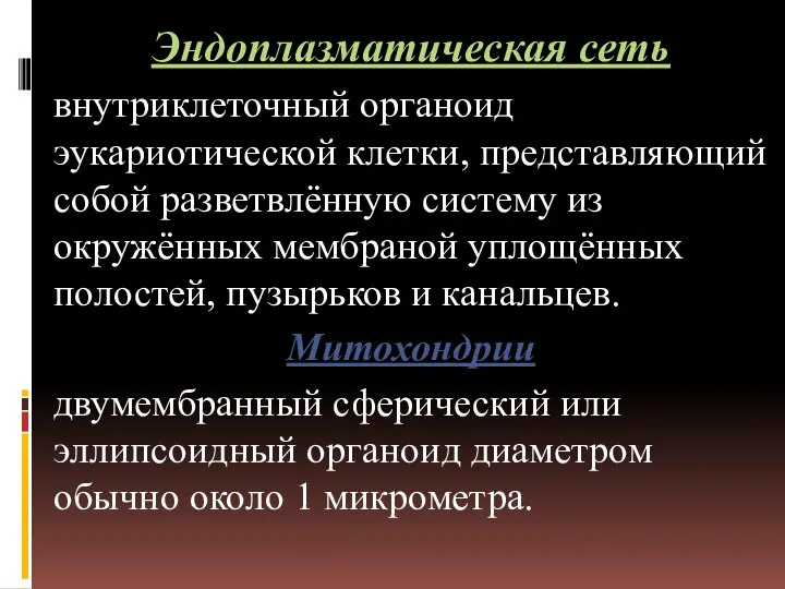 Эндоплазматическая сеть внутриклеточный органоид эукариотической клетки, представляющий собой разветвлённую систему из