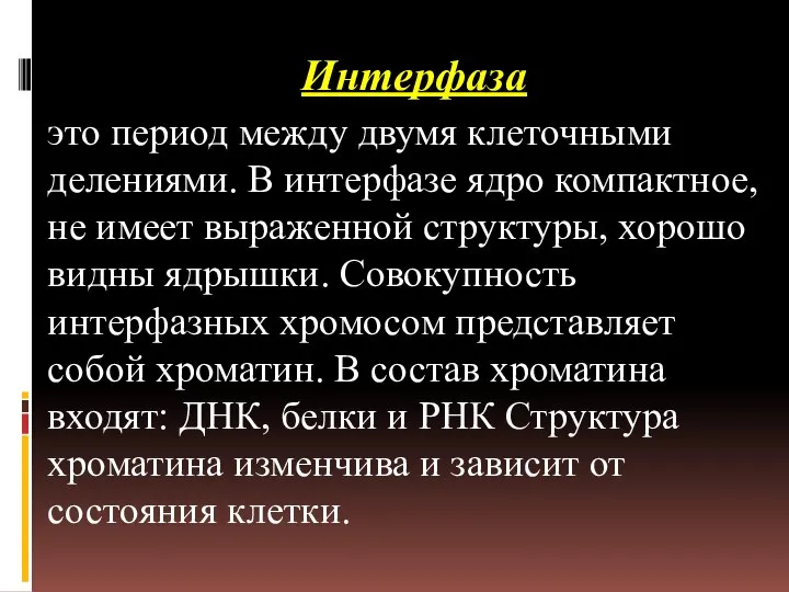 Интерфаза это период между двумя клеточными делениями. В интерфазе ядро компактное,