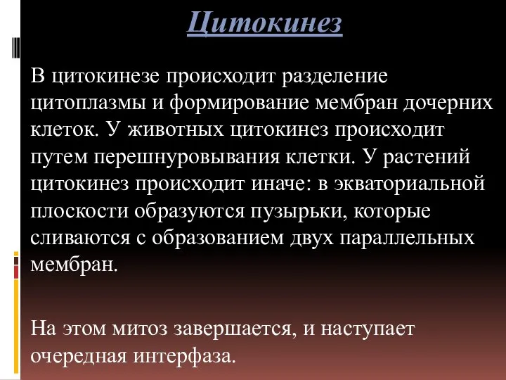 Цитокинез В цитокинезе происходит разделение цитоплазмы и формирование мембран дочерних клеток.