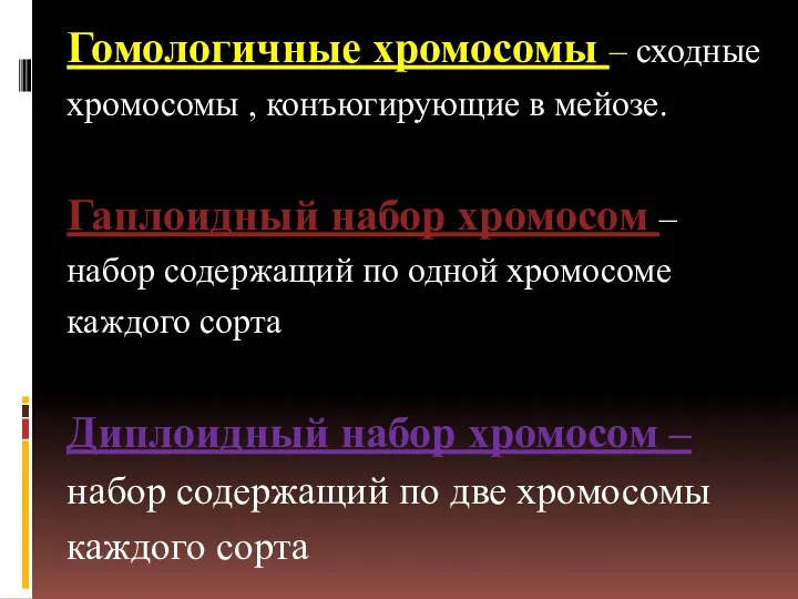 Гомологичные хромосомы – сходные хромосомы , конъюгирующие в мейозе. Гаплоидный набор