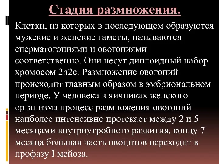 Стадия размножения. Клетки, из которых в последующем образуются мужские и женские