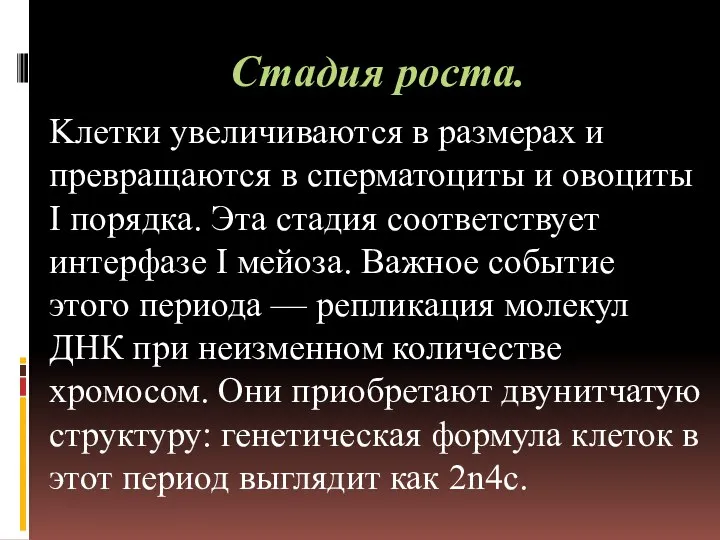 Стадия роста. Kлетки увеличиваются в размерах и превращаются в сперматоциты и