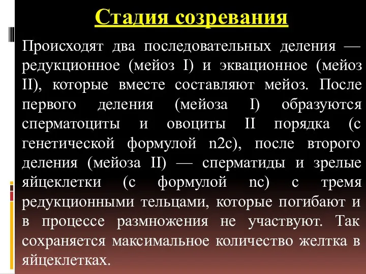 Стадия созревания Происходят два последовательных деления — редукционное (мейоз I) и