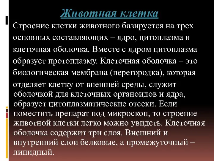 Животная клетка Строение клетки животного базируется на трех основных составляющих –