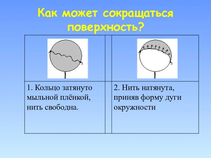 Как может сокращаться поверхность?