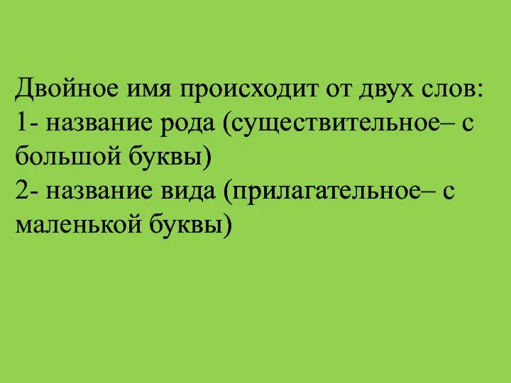 Двойное имя происходит от двух слов: 1- название рода (существительное– с