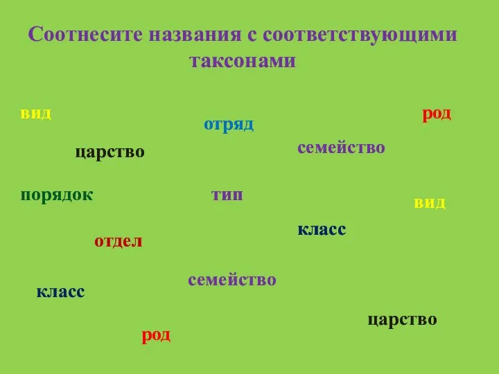 Соотнесите названия с соответствующими таксонами царство тип отдел класс царство класс