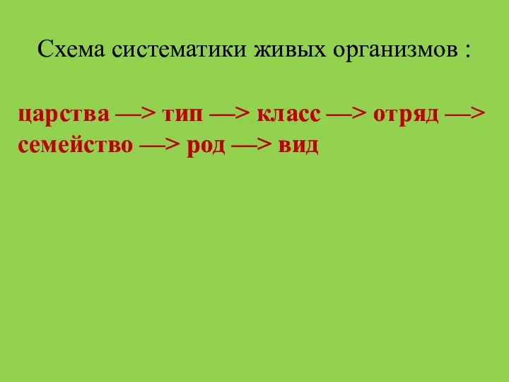 Схема систематики живых организмов : царства —> тип —> класс —>