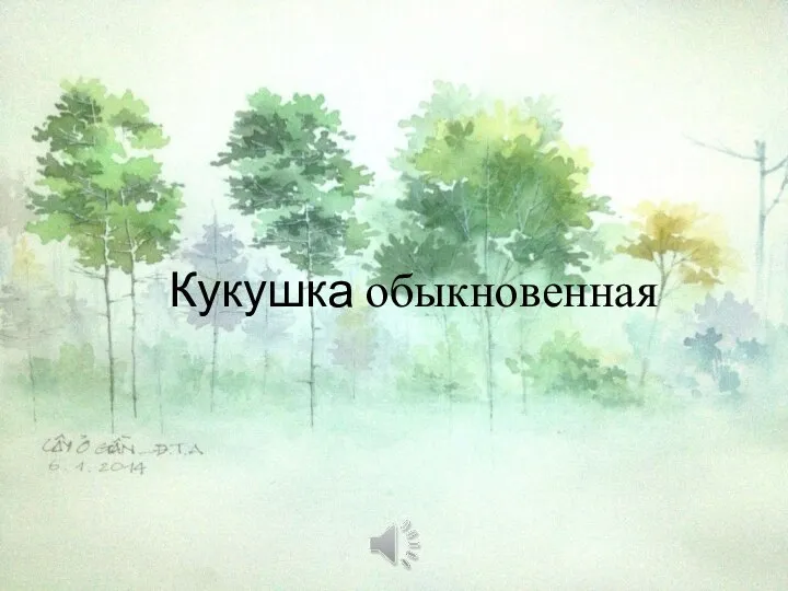 Кукушка обыкновенная