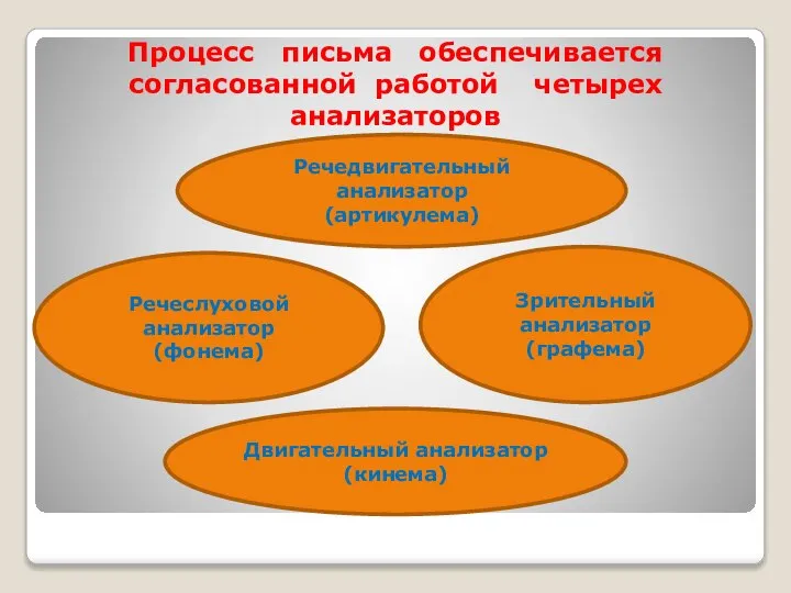 Процесс письма обеспечивается согласованной работой четырех анализаторов Речедвигательный анализатор (артикулема) Речеслуховой