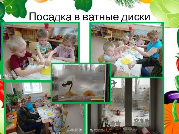 Посадка в ватные диски