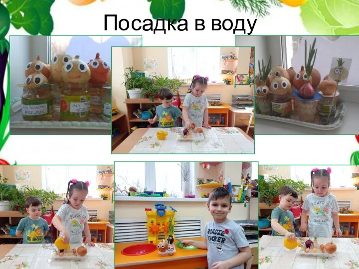 Посадка в воду