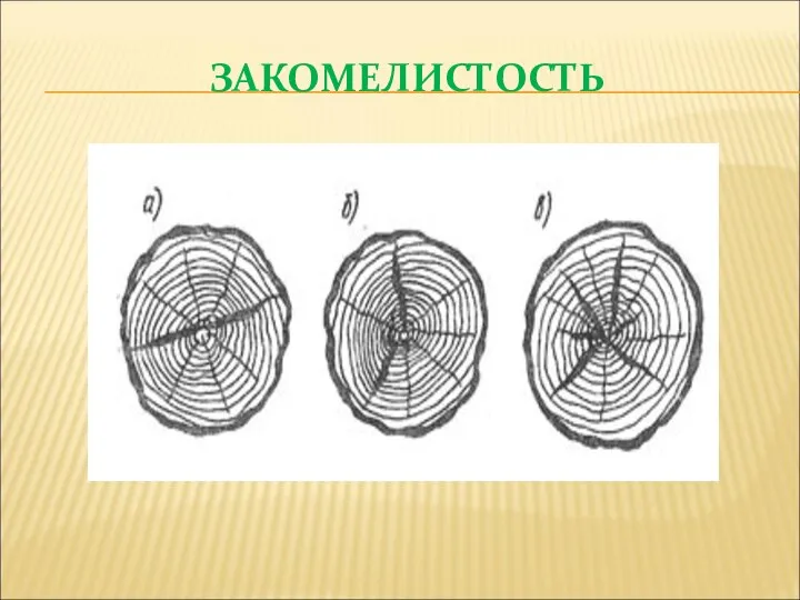 ЗАКОМЕЛИСТОСТЬ