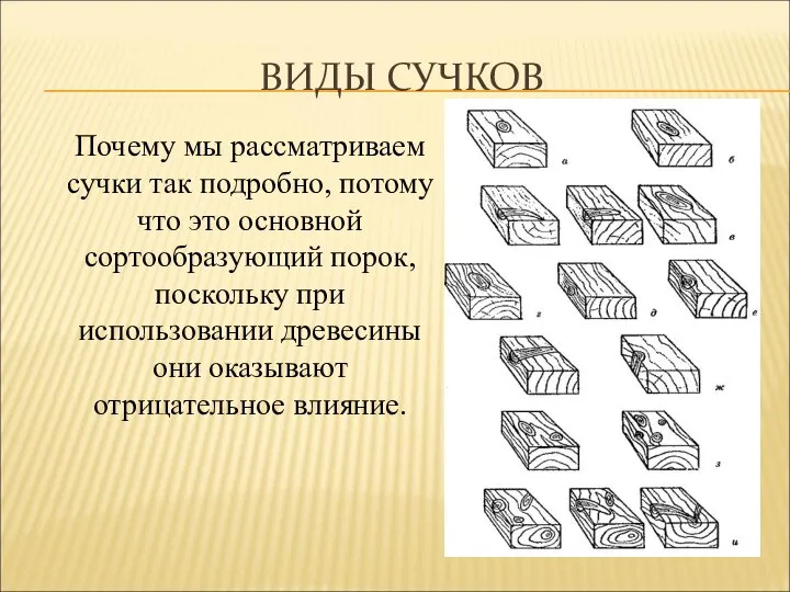 ВИДЫ СУЧКОВ Почему мы рассматриваем сучки так подробно, потому что это