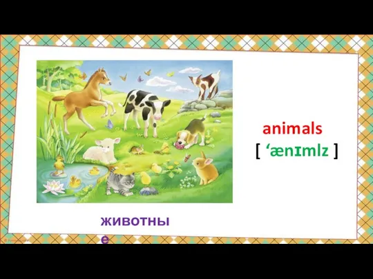 животные animals [ ‘ænɪmlz ]