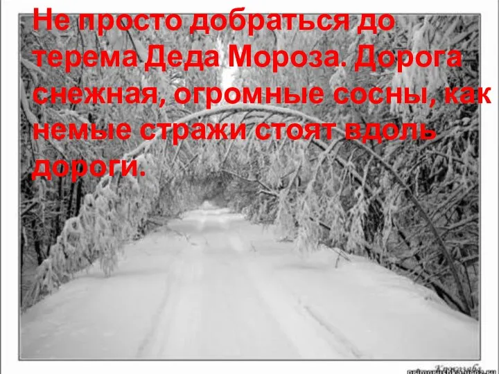 Не просто добраться до терема Деда Мороза. Дорога снежная, огромные сосны,