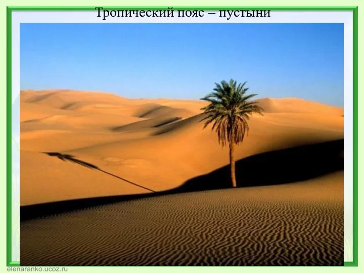 Тропический пояс – пустыни