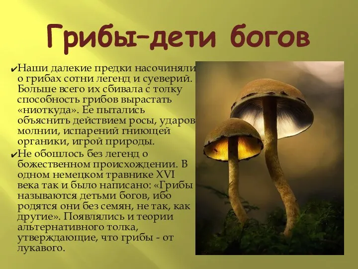 Грибы–дети богов Наши далекие предки насочиняли о грибах сотни легенд и