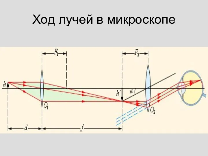 Ход лучей в микроскопе