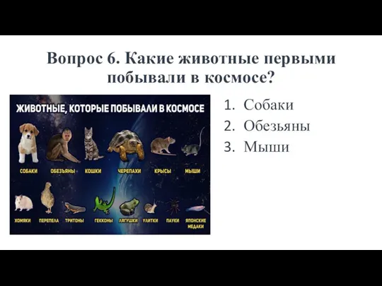 Вопрос 6. Какие животные первыми побывали в космосе? Собаки Обезьяны Мыши