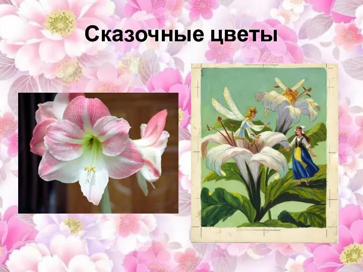 Сказочные цветы