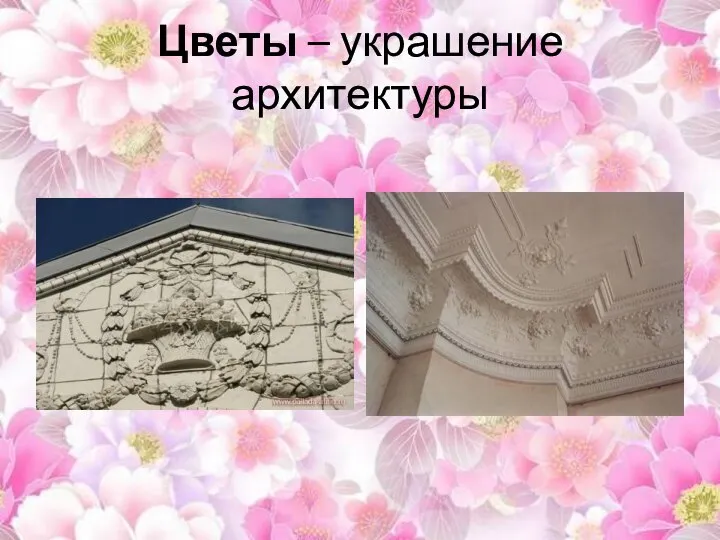 Цветы – украшение архитектуры