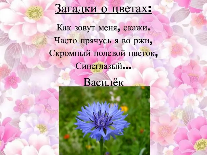 Загадки о цветах: Как зовут меня, скажи. Часто прячусь я во