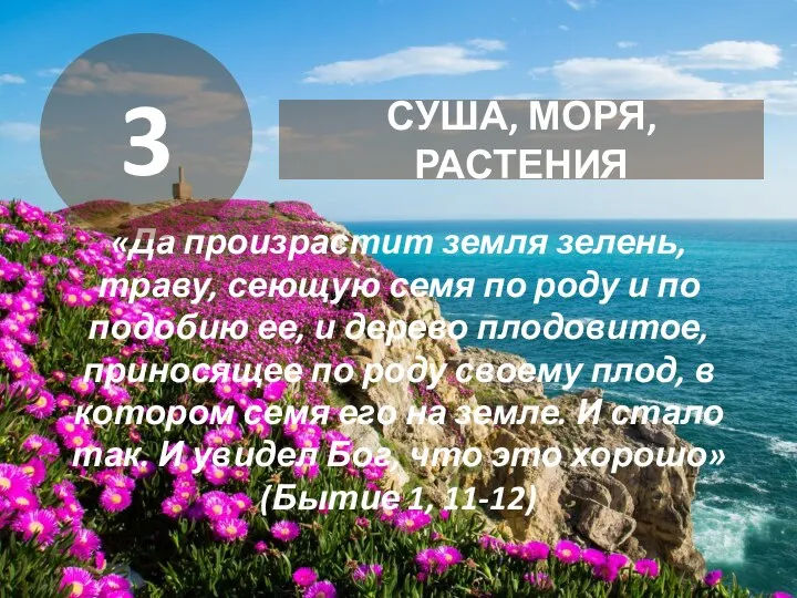 «Да произрастит земля зелень, траву, сеющую семя по роду и по